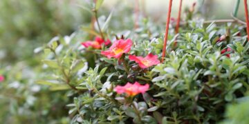 «Legalità & Profitto»: prestigioso riconoscimento alla Vivai Antonio Marrone Srl