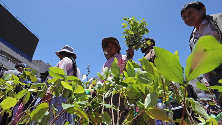 Onu, allarme per l’aumento della coltivazione di coca in Centroamerica