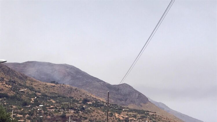 Dopo incendio che distrusse parte area protetta riapre riserva dello Zingaro