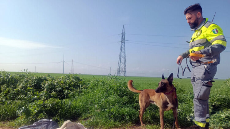 Scomparsa nel Foggiano, si cerca anche nei pozzi e nei casolari