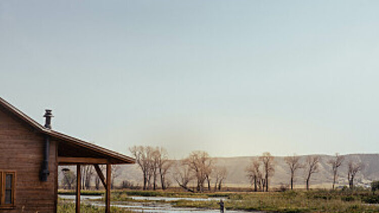 ‘The Madison’, Michelle Pfeiffer e la seconda vita da star della tv