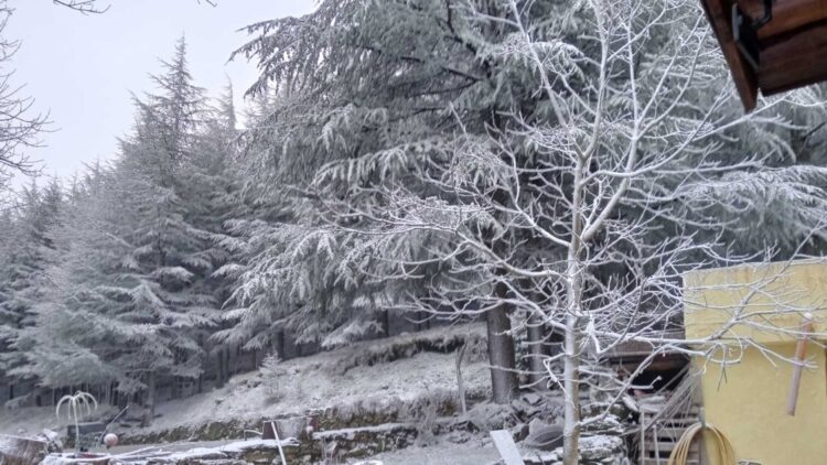 L’inverno a primavera sul Gennargentu, -2 gradi e neve