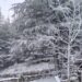 L’inverno a primavera sul Gennargentu, -2 gradi e neve