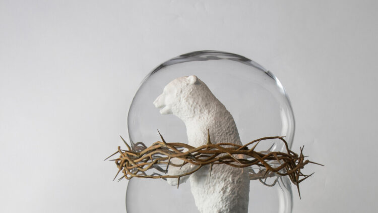 Koen Vanmechelen, l’arte oltre l’uomo a Venezia