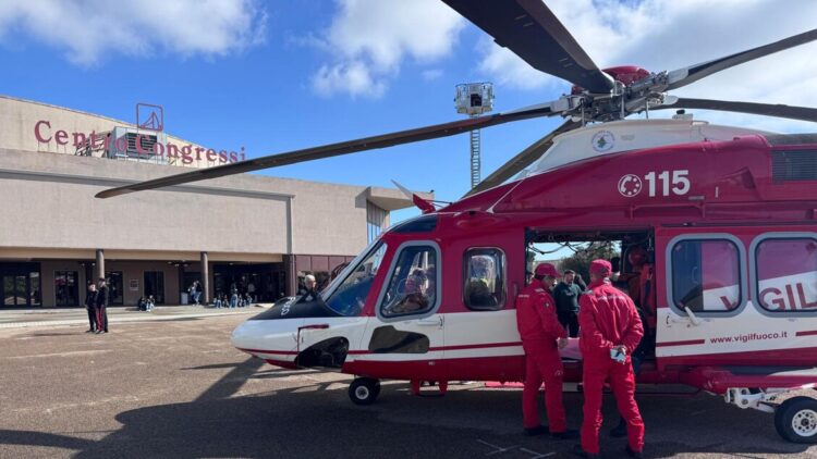 Vigili del fuoco salvano cane di 70 chili caduto in scarpata da 4 giorni