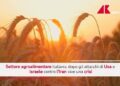 Guerra in Iran, settore agroalimentare italiano in crisi