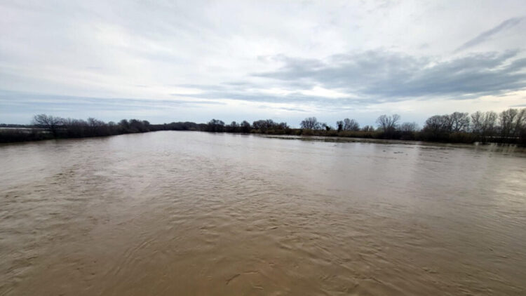 Danni all’agricoltura, Regione Calabria chiede stato calamità naturale