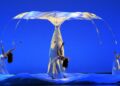 ‘Botanica – Season 2’ dei Momix debutta in prima assoluta a Bologna
