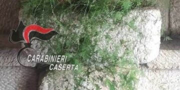 Parte di un sarcofago romano nel muro di un ristorante, scatta sequestro