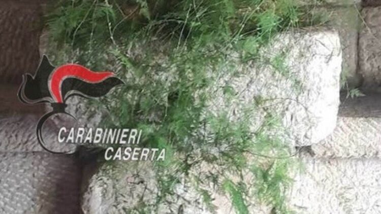 Parte di un sarcofago romano nel muro di un ristorante, scatta sequestro