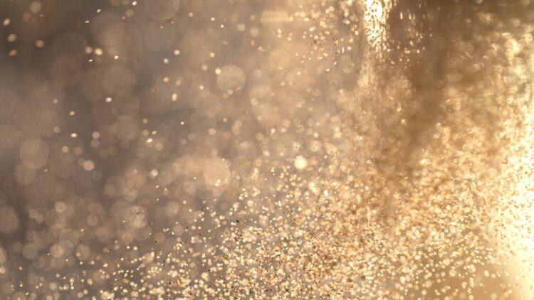 Studio Sissa, fuga o meta le due reazioni dei microorganismi all’ambiente