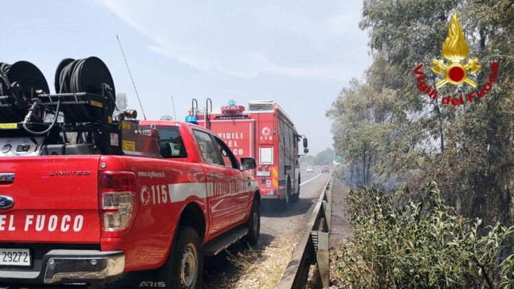 Mille incendi in più nel Veneto tra gennaio e agosto