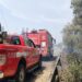 Mille incendi in più nel Veneto tra gennaio e agosto