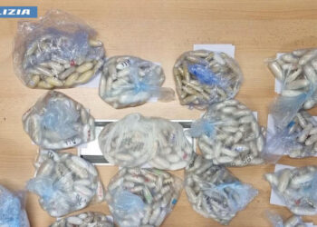 Bagaglio sospetto alla stazione Termini, dentro c’erano 7,8 chili di droga
