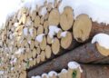 Aiel e Uncem, ‘incentivi anche per le caldaie a legna e pellet’