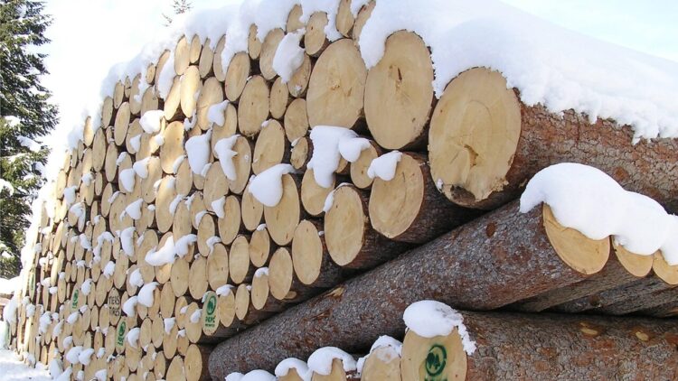 Aiel e Uncem, ‘incentivi anche per le caldaie a legna e pellet’