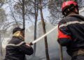 Incendi boschivi in Algeria, almeno 69 i morti