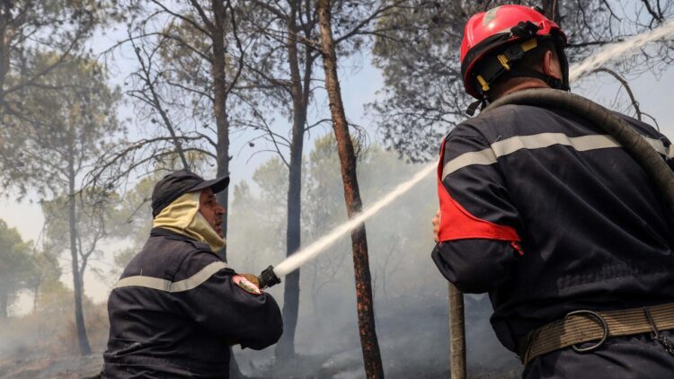 Incendi boschivi in Algeria, almeno 69 i morti