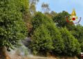 Incendio sul Monte Barone, le fiamme hanno raggiunto la strada