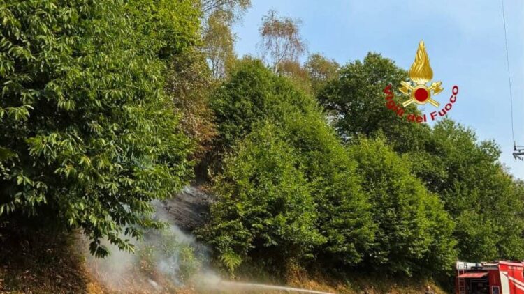 Incendio sul Monte Barone, le fiamme hanno raggiunto la strada
