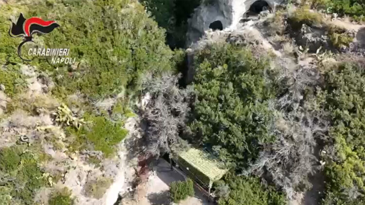 Sequestrato a Ischia un resort abusivo mimetizzato tra la vegetazione