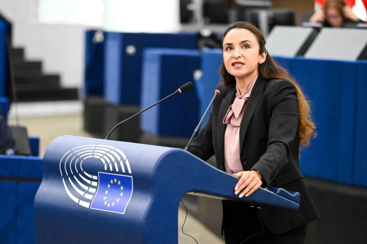Germania: Khan (AfD), ‘obiettivo cambio rotta anche in Ue’