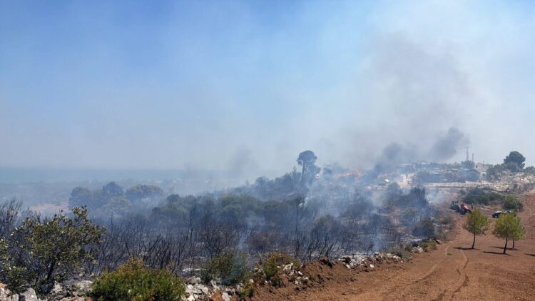 Incendi nel Gargano, arrestato un volontario di protezione civile 35enne