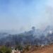 Incendi nel Gargano, arrestato un volontario di protezione civile 35enne