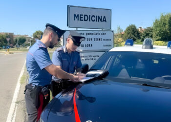 Giardiniere ferito in un incidente sul lavoro nel Bolognese