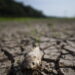 Brasile, El Nino divide il Paese tra piogge record e forte siccità