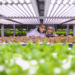 Ue, cresce il surplus nell’agrifood