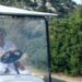 Berlusconi, figli e amici storici arrivati in Sardegna: pranzo di famiglia a Villa Certosa in ricordo del Cav