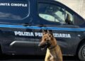 Il cane Spike fiuta la droga nell’orlo dell’accappatoio, sequestro in carcere