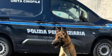 Il cane Spike fiuta la droga nell’orlo dell’accappatoio, sequestro in carcere