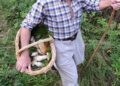 Cade in un dirupo mentre cerca funghi, morto un 85enne nel Vco