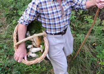 Cade in un dirupo mentre cerca funghi, morto un 85enne nel Vco