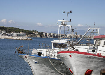 Lollobrigida, con Cambiale Azzurra 10 milioni per liquidità delle imprese della pesca