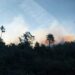 Incendio boschivo a Genova Pra’, evacuate numerose abitazioni