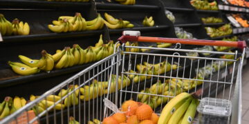 Il carrello sempre più vuoto, dal 2019 la spesa reale è diminuita del 9%