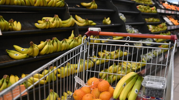Il carrello sempre più vuoto, dal 2019 la spesa reale è diminuita del 9%
